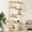 Golden, variant on 5-Tier Tempered Glass Display Shelf Bookshelf, Modern Open Shelf Bookshelf, Tall Storage Open Bookcase for Living Room, Home Office, Bedroom, Golden
