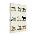thumbnail image 2 of Vision Studio 'Antique Animal Chart II' Canvas Art, 2 of 3