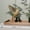 A, variant on Handcrafted Wooden Hummingbird Hanging Ornament with Bells, Garden and Home Decor for Bird Lovers, Soothing Outdoor and Indoor Use(A)