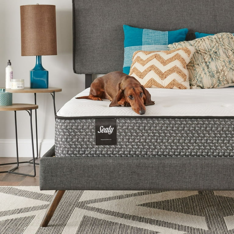 Sealy response essentials encased coil online innerspring mattress in a box