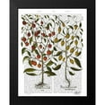 thumbnail image 2 of Fab Funky 20x24 Black Modern Framed Museum Art Print Titled - Peppers 1, 2 of 5