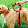 thumbnail image 3 of Juego de correa y collar de nailon duradero de 1,3 m para perros, cuerda de tracción, accesorios para pasear perros medianos y grandes, arnés para perros con cadena en P para labradores y huskys, 3 of 5