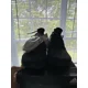 thumbnail image 2 of Size 9M - Ad-id-as Solar HU Pharrell Greyscale Pack Black Sneakers EG7788, 2 of 5