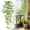 D, variant on Artificial Hanging Vine Orange Pothos 105cm Realistic ABS Plant Garland for Wall Home Living Room Wedding Decor