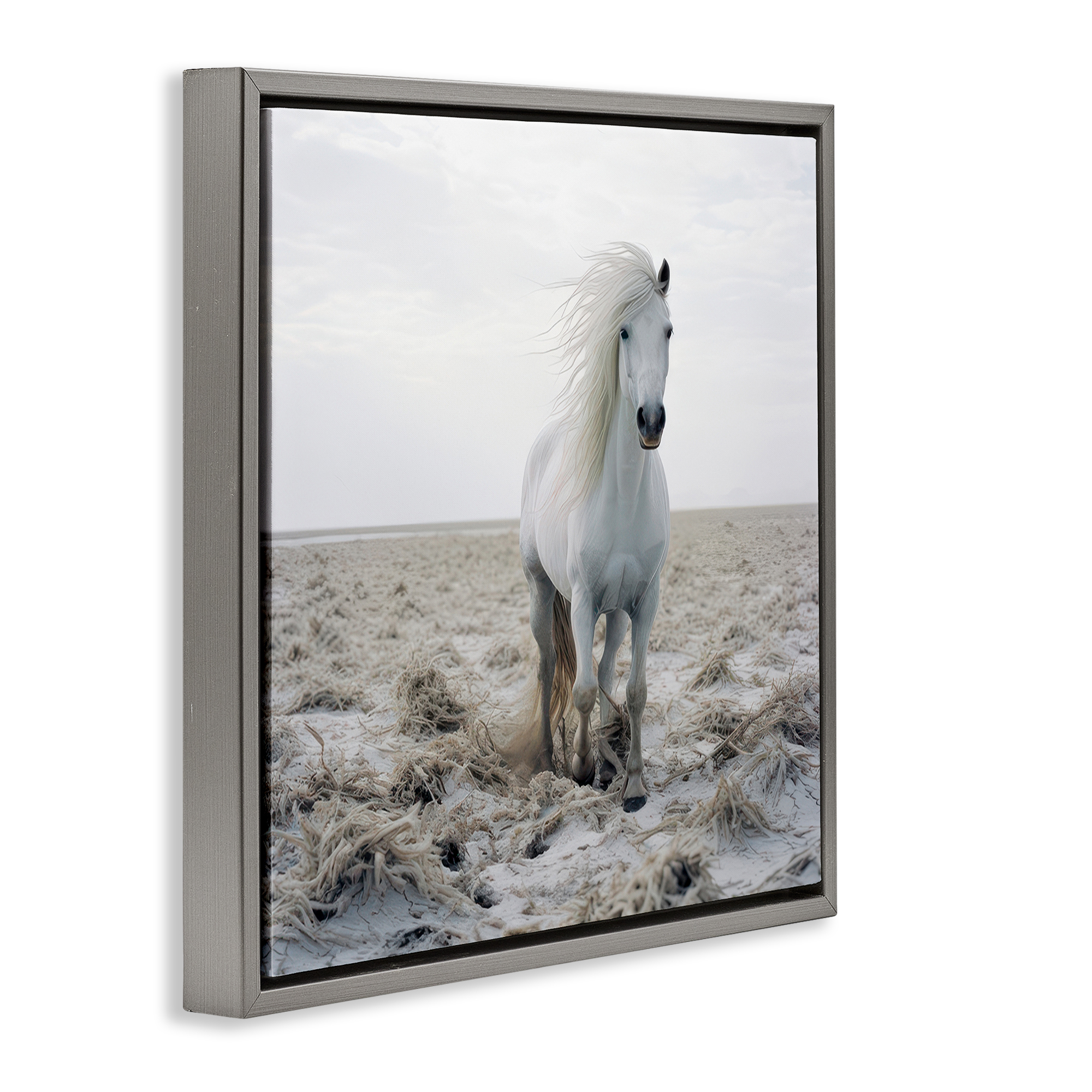 Stupell Industries Windswept Beach Horse Animals Photography Gray Floater Framed Canvas Art Print Wall Art, 18 x 18