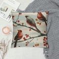 thumbnail image 2 of Nawypu  Winter Vibes Cardinal Red Birds Decorative Throw Pillow Cover 20x20, Berry Wreath Pine Cones Kerosene Lamp Striped Home Decoration Sign, Snow Farmhouse Cushion Case for Sofa Couch Decors, 2 of 5