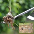 thumbnail image 4 of Gardening Weeding Tools Stainless Steel Rooter Weeder Weeding And Rooting, 4 of 4