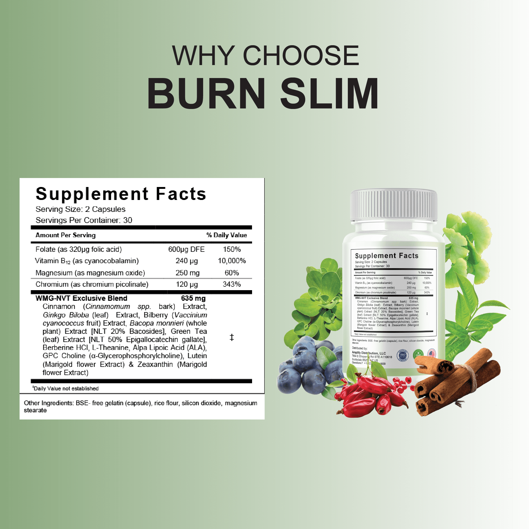 (3 Pack) Burn Slim Weight Management, BurnSlim Pro Overall Health Support Pills (180 Capsules)