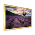 thumbnail image 2 of Designart 'Lavender Field At Sunrise III' Farmhouse Framed Art Print, 2 of 4