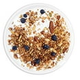 thumbnail image 2 of Low Karb NuTrail, Keto Blueberry Nut Granola Healthy Breakfast Cereal, Low Carb Snacks & Food, Almonds, Pecans, Coconut and More, 3 g Net Carbs, 1.37 lb, 22 Oz, 2 of 4