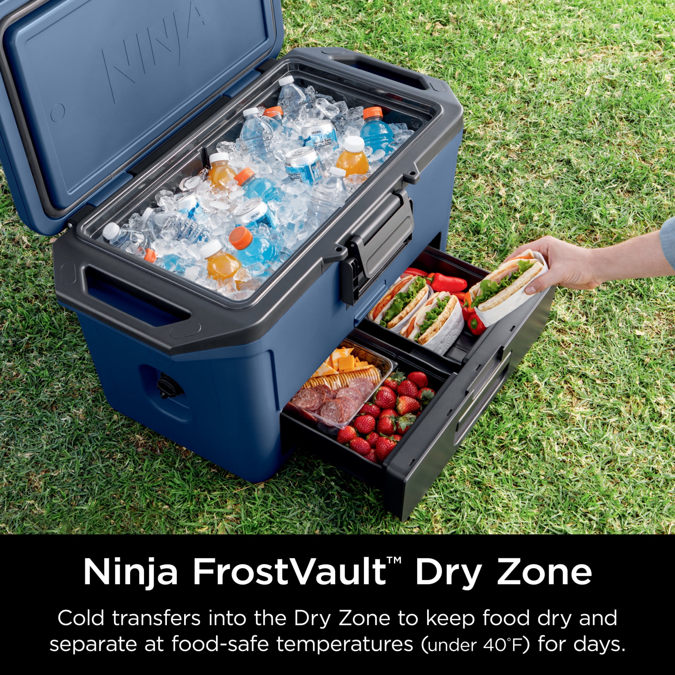 Ninja FrostVault 50-Qt Hard Cooler with Cold Dry Zone, Integrated Fridge-Temp Dry Storage Drawer, Premium Heavy-Duty Insulated Cooler, Keeps Ice for Days, FB151BL Lakeshore Blue