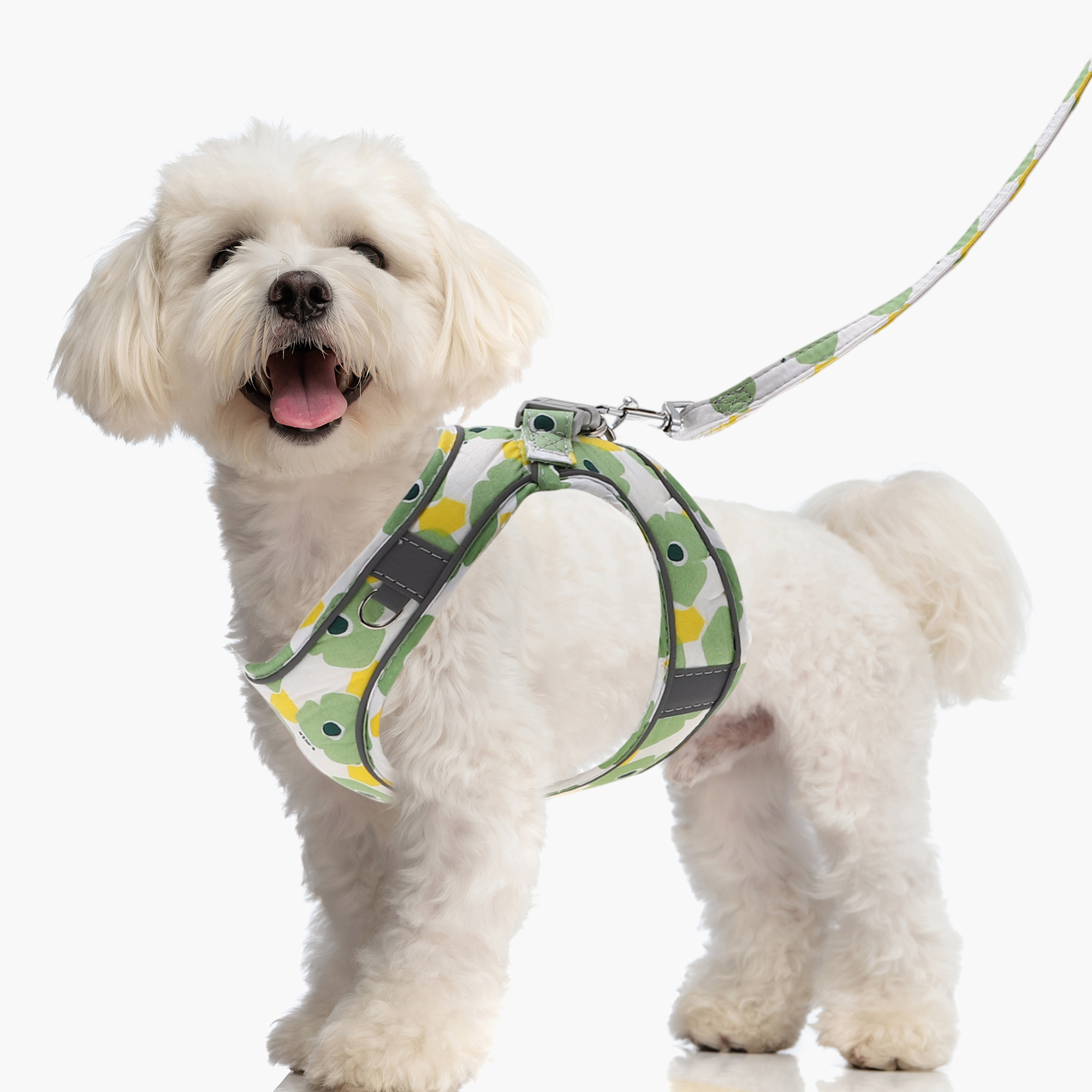 Unique Bargains Puppy Dog Harness and Leash Set with Reflective Strip Green M