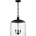 thumbnail image 5 of Quoizel Selma 3-Light Matte Black Pendant Light, 5 of 8