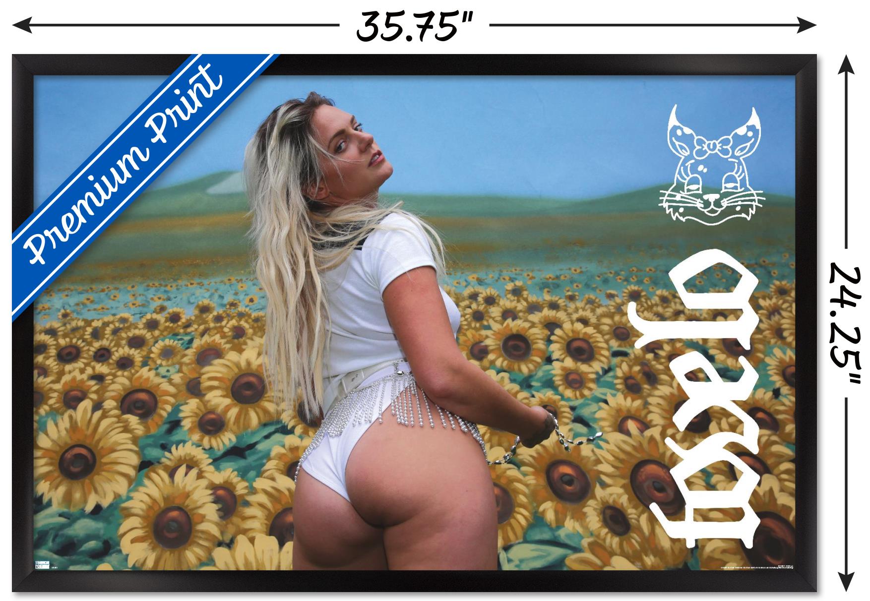 Tove Lo - Sunshine Kitty Wall Poster, 22.375" x 34", Framed