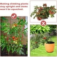 thumbnail image 5 of Slsy 40” PVC-Coated Steel Square Tomato Plant Cage with 3-Tier Trellis (4 Count), 5 of 9