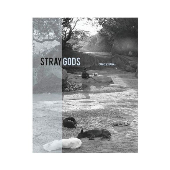 Stray Gods