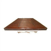 Persian Hammered Dulcimer, Hard Case & Play Book FREE