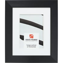 Craig Frames Modern Aesthetics 150, 14x20 inch Picture Frame Matted for a 11x17 Photo, Black