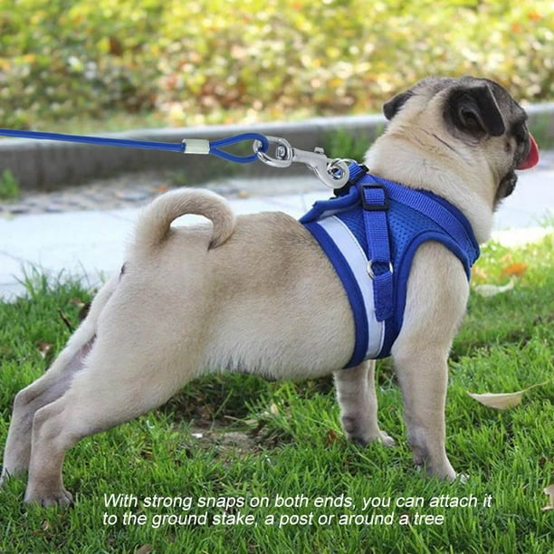 Chew proof dog tie best sale out