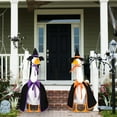 thumbnail image 6 of Halloween Goose Outfit for 23" Cement Lawn Porch Witch Goose Clothes Plastic Statue Clothing for Yard Lawn Art Decor, 6 of 6