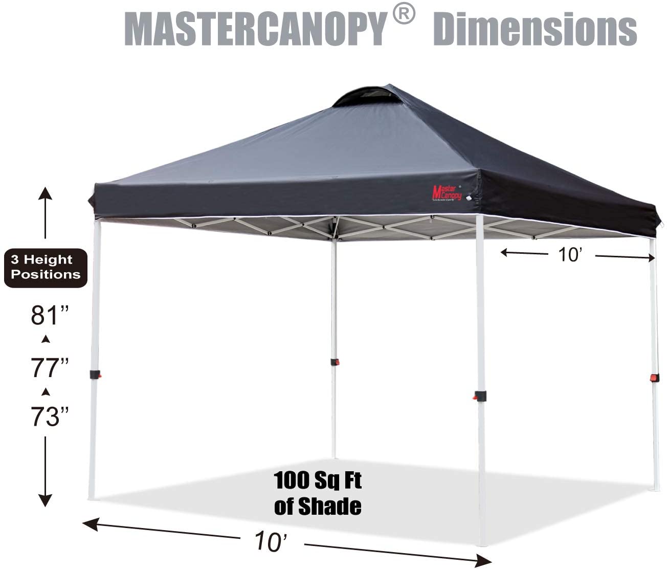 Canopy Tent with Roller Bag (10x10 