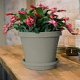 thumbnail image 5 of Bloem TR0883 Terra Plastic Pot Planter 8" Pebble Stone, 8", 5 of 5
