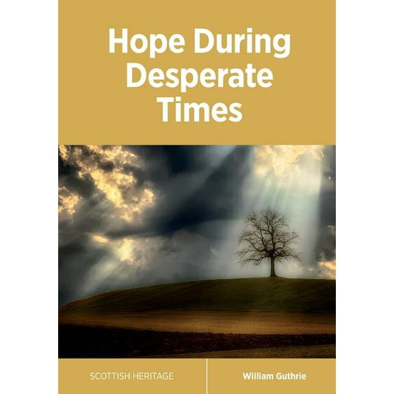 Hope During Desperate Times (Paperback)