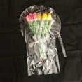 thumbnail image 3 of Transparent 5Pcs Balloon Transparent Wide Application Plastic Large Bubble Balloon for, 3 of 4