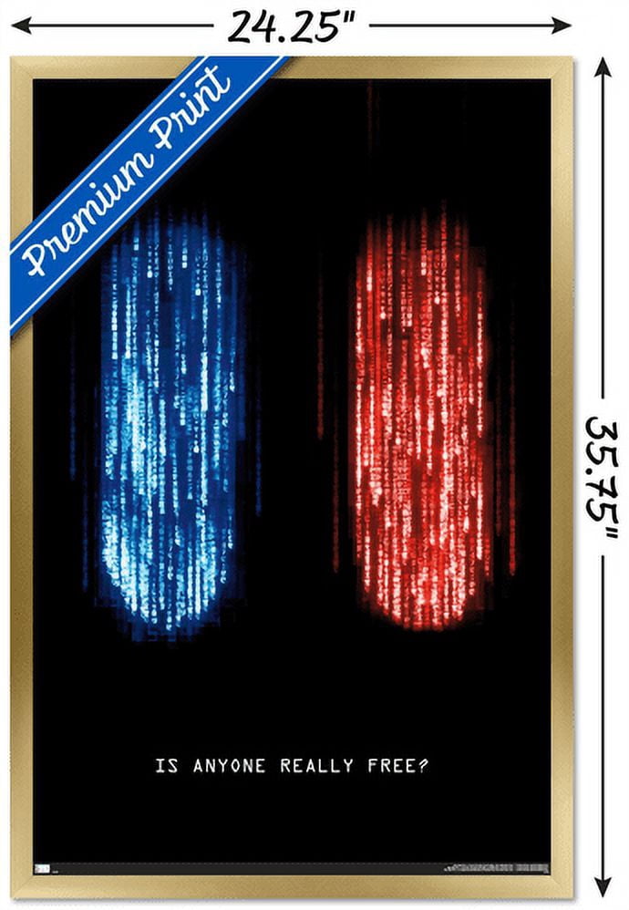The Matrix: Resurrections - Is Anyone Really Free Wall Poster, 22.375" x 34", Framed