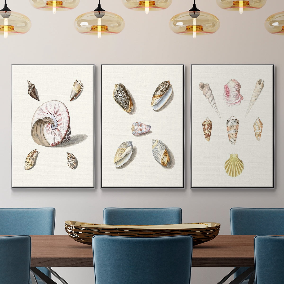 Pastel Knorr Shells I - Framed Premium Gallery Wrapped Canvas L Frame 3 Piece Set - Ready to Hang