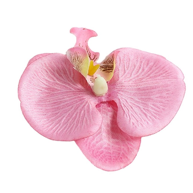 Phalaenopsis Orchidée Simulée Accessoires de Fleurs Décoratifs