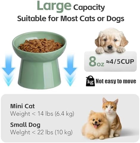 Raised Cat Bowl, Elevated Cat Food Bowls with Tilted Angle, Stress Free, Anti Vomiting, Ceramic Water Bowl for Cats Small Dogs Feeding Dish, 8 Ounces (Green-1)