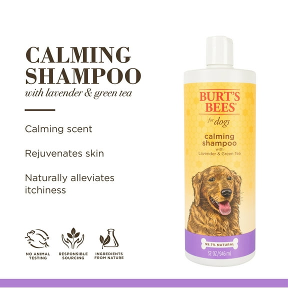 Burt's Bees For Pets Dog Soothing and Calming Shampoo Lavender Green Tea 32oz