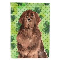 Carolines Treasures CK1795GF Shamrocks Newfoundland Flag Garden Size  Small multicolor