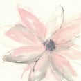 thumbnail image 2 of Paschke, Chris 15x15 White Modern Wood Framed Museum Art Print Titled - Blush Clematis I, 2 of 4