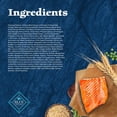 thumbnail image 6 of Blue Buffalo Wilderness High-Protein, Salmon Adult Dry Dog Food, 13lb Bag, 6 of 13
