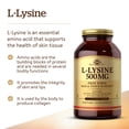 thumbnail image 3 of Suplemento Solgar L-Lisina 500 mg 250 cápsulas vegetales, 3 of 6