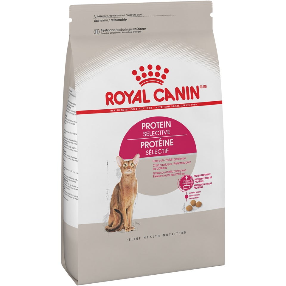 royal canin abyssinian