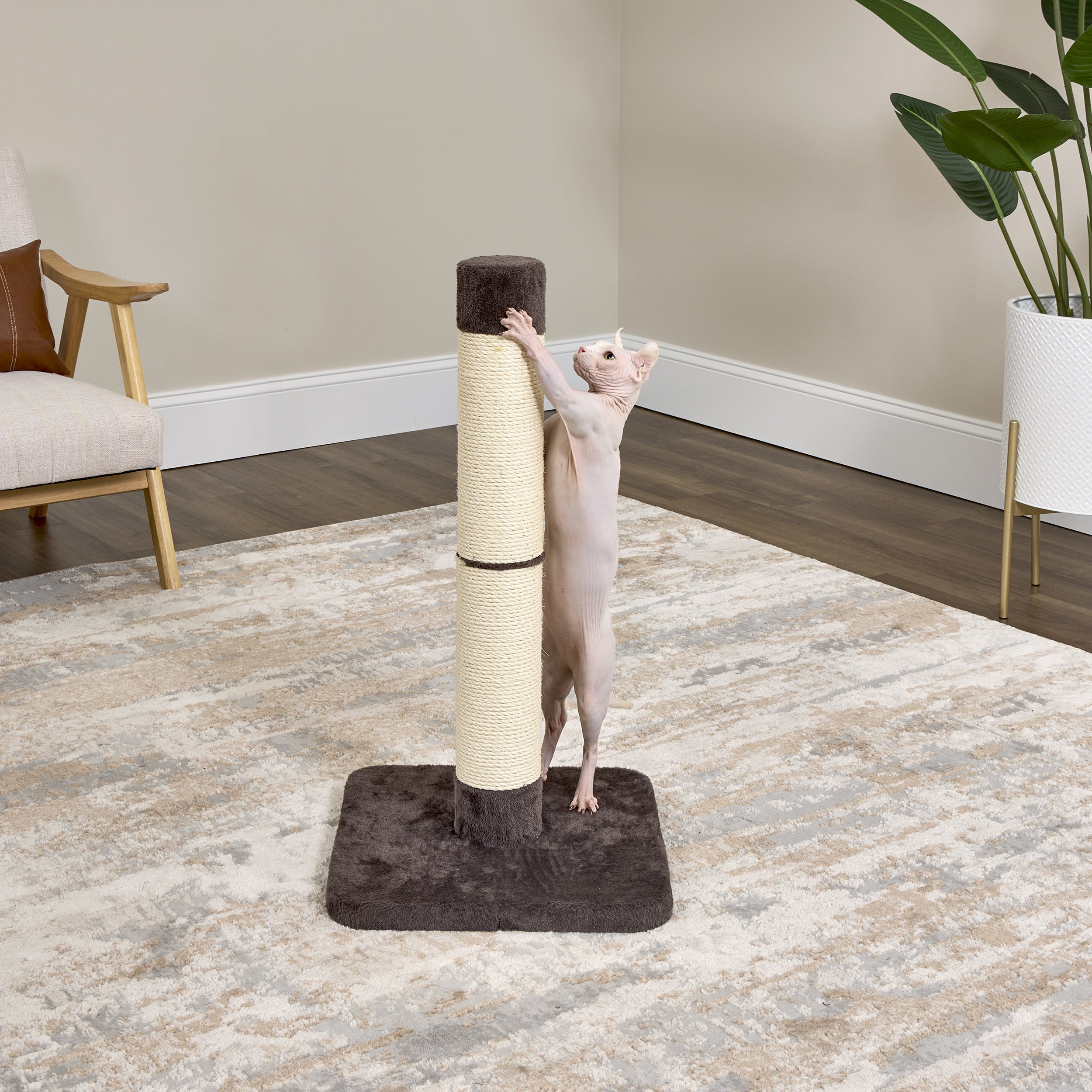 MidWest Homes for Pets Feline Nuvo Medium Forte Cat Scratching Post - Brio, 31-Inch Height