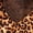 Cheetah, variant on White Mark Women's Satin Lace Cami And Shorts Pajama Set