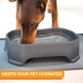 thumbnail image 6 of Neater Pets Giant Bowl for Large Dogs - Plastic Trough Style Food or Water Bowl, Gunmetal, 2.25 Gallon (288 oz.), 6 of 12