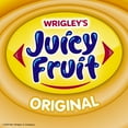 thumbnail image 5 of JUICY FRUIT Gum - Original Bubble Gum Bulk Pack, 40-Piece Bottle (4 Pack), 5 of 7