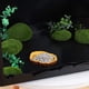 thumbnail image 3 of Paquete de 2 cuencos de comida para reptiles, cuencos de agua y comida para reptiles, cuenco de comida novedoso para lagartos, dragones barbudos jóvenes, serpientes pequeñas y más, hechos de plástico, 3 of 6