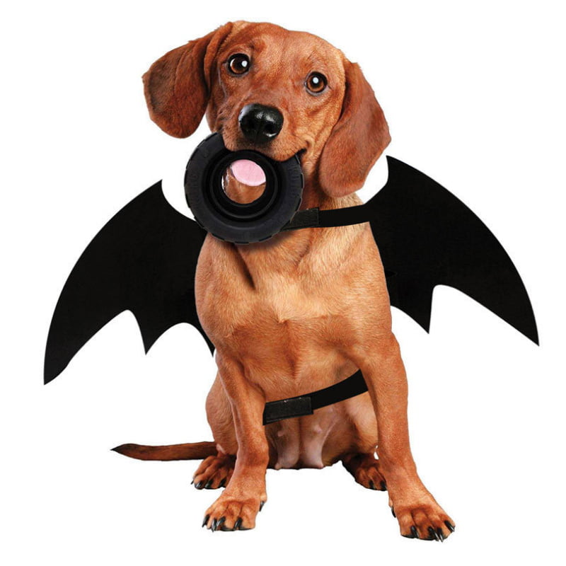 Cat Dog Pet Bat Costume, Halloween Pet Costume Bat Wings Cosplay 