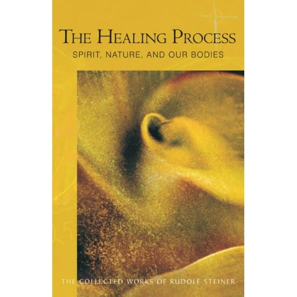 Collected Works of Rudolf Steiner: The Healing Process (Paperback)