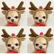 thumbnail image 1 of Fiudx Suéter Polar de Invierno, Diseño Estampado a La Moda, Algodón Suave, Manga Larga Cómoda, Ropa para Perros Pequeños y Medianos, Abrigo de Invierno Acogedor, Varias Tallas Disponibles., 1 of 4