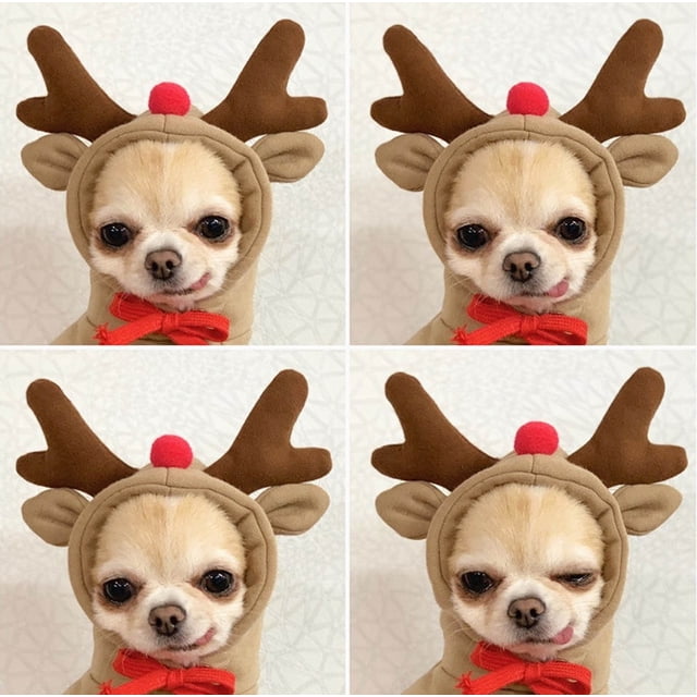 Xihbxyly Suéter Polar de Invierno, Diseño Estampado a La Moda, Algodón Suave, Manga Larga Cómoda, Ropa para Perros Pequeños y Medianos, Abrigo de Invierno Acogedor, Varias Tallas Disponibles.