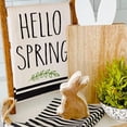 thumbnail image 5 of 2 Pack Easter Kitchen Towels Dish Towels, 18x26 Inch Seasonal Cloth Tea Towel Bunny Happy Easter Hand Towel Dishcloth Spring Holiday Flowers Cloth Towel for Home Housewarming Gift, 5 of 5