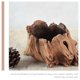 thumbnail image 2 of Maceta de hormigón con forma de tronco de tocón Maceta para suculentas Maceta de hormigón con forma de tocón de madera, 2 of 6