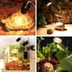 thumbnail image 5 of Reptil Lámpara de calentamiento Cultivo Crecimiento Metal Vidrio Espectro Completo Silamps Sunlamps Control de temperatura Luces Universales Accesorios para mascotas 2 Piezas seitruly PT001771-00, 5 of 5